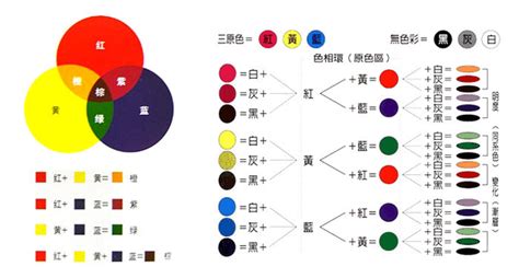 豬顏色|豬的調色盤：它們是什麼顏色？ 